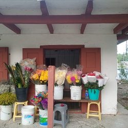 Florería La Candelaria.