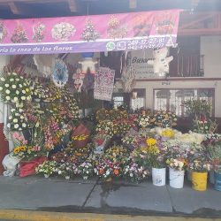 Florería La Casa De Las Flores