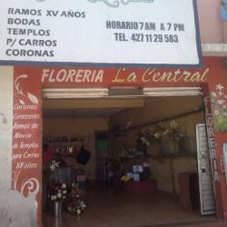 Floreria La Central