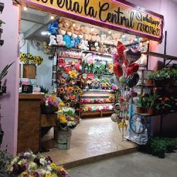 Florería La Central Huichapan Hgo