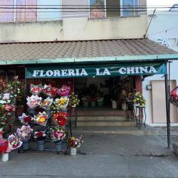 Floreria La China