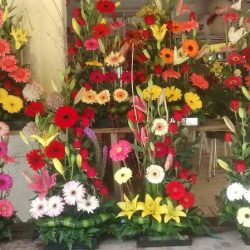 Florería La Del Templo