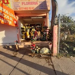 Florería La Del Templo Iii
