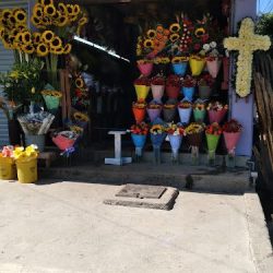 Florería La Del Templo Ll
