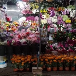 Floreria La Esquina