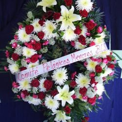 Floreria La Flor De La Esperanza