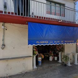 Floreria La Flor De Michoacan