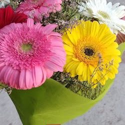 Florería La Gardenia