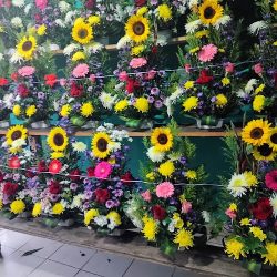 Florería La Guadalupana