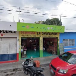 Florería La Guadalupana