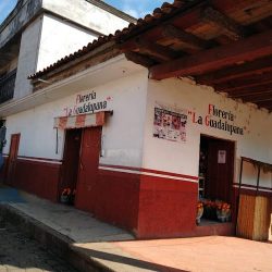 Floreria "la Guadalupana"