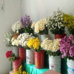 Floreria La Guadalupana