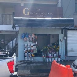 FlorerÍa La Guadalupana Gdl