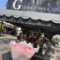 FlorerÍa La Guadalupana Gdl