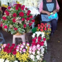 Florería "la Hortensia"