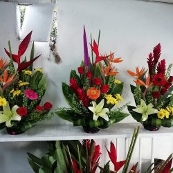 Floreria La Joya