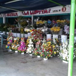 Floreria "la Lupita"