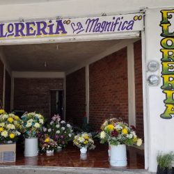 Florería "la Magnifica"