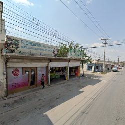 Floreria "la Margarita"