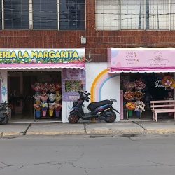Florería "la Margarita", Flores, Ramos Y Regalos Nezahualcóyotl ✅
