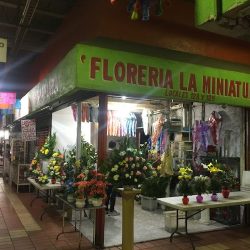 Floreria La Miniatura