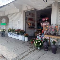Florería "la Misión"