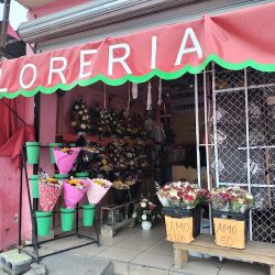FlorerÍa La Morita
