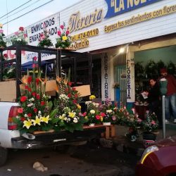 Florería La Nueva
