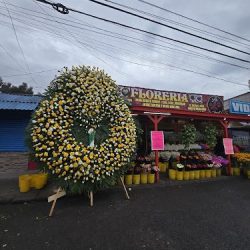 Floreria La Nueva De Rosarito