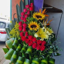 Floreria La Orquidea