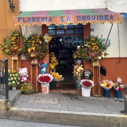 Floreria La Orquídea