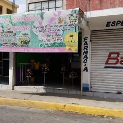 Floreria: "la Orquidea"