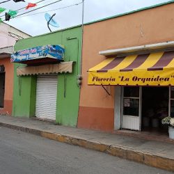 Florería "la Orquídea"