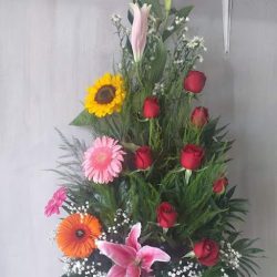 Floreria La Orquidea