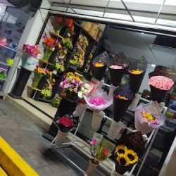 Florería La Orquidea