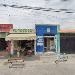 Floreria La Orquidea