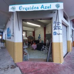 Florería La Orquídea Azul Azul