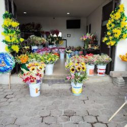 Florería "la Orquídea" Lucio Martínez