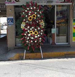 Florería La Orquidia