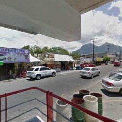 Floreria "la Paloma"