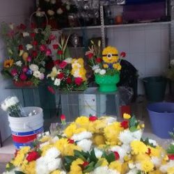Floreria La Pasadita