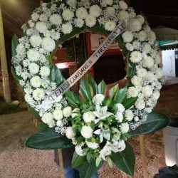 Floreria La Paz