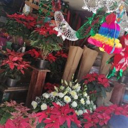 Floreria La Pequeña