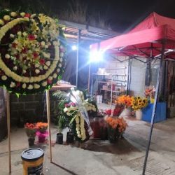 Florería La Piedad & Decoración De Eventos