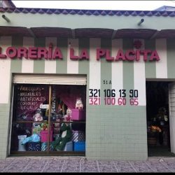 Florería La Placita