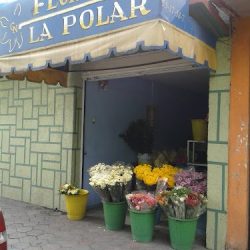 Florería La Polar