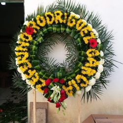 Floreria La Primavera