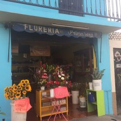 Florería La Primavera