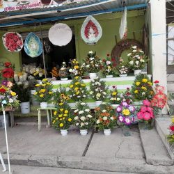 Florería "la Primavera"