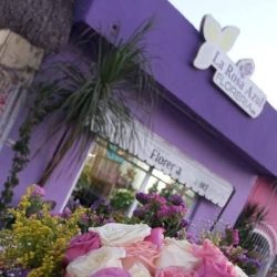 Florería La Rosa Azul Chetumal